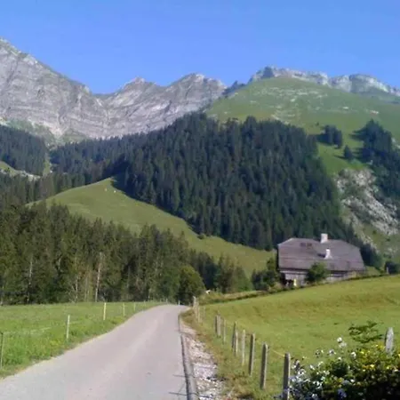 Chalet In Chateau-D X Near Gstaad Ski Resort * Château-d'Œx