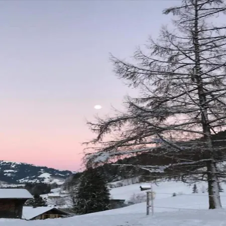 Chalet In Chateau-D X Near Gstaad Ski Resort