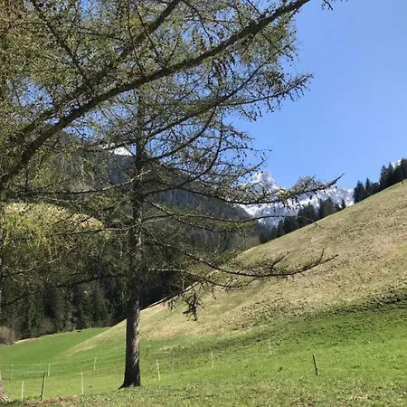 Alpstuga Premium With Mountain Views Chateau-d'Oex